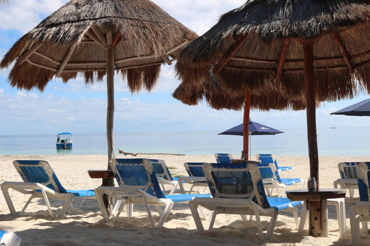 The Diving Lodge Downtown Puerto Morelos Zewnętrze zdjęcie